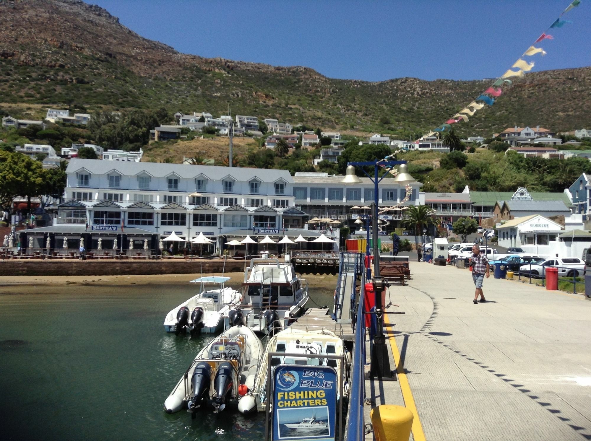 Simonʼs Town Restio Garden Studio מראה חיצוני תמונה