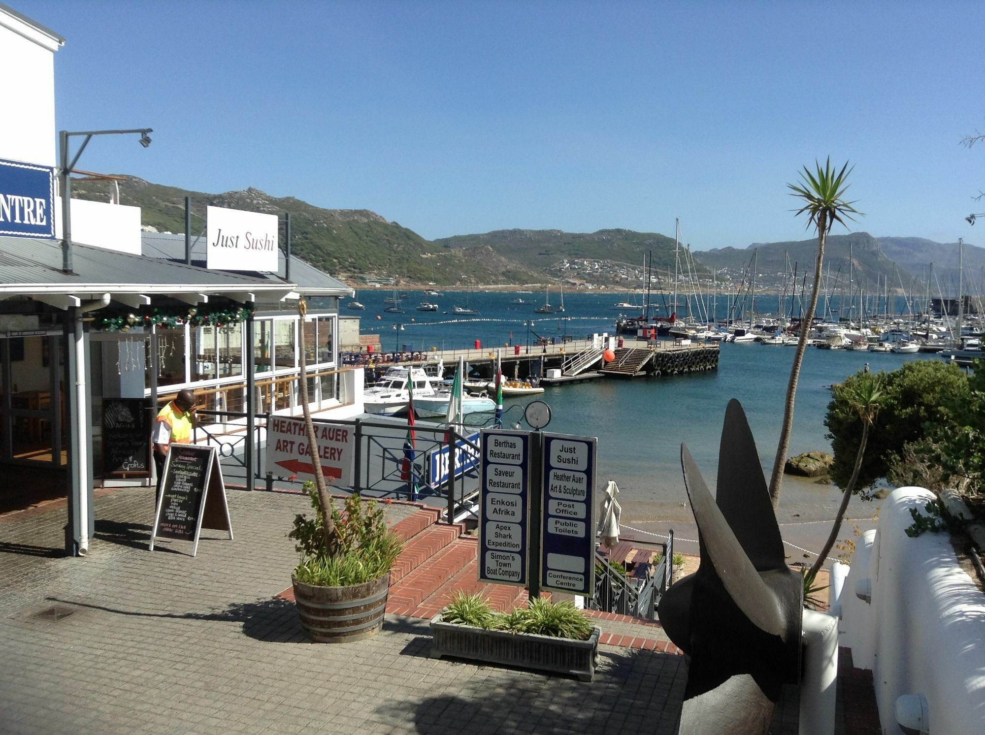 Simonʼs Town Restio Garden Studio מראה חיצוני תמונה