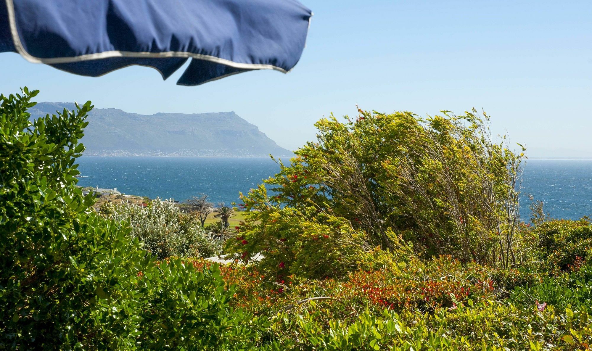 Simonʼs Town Restio Garden Studio מראה חיצוני תמונה