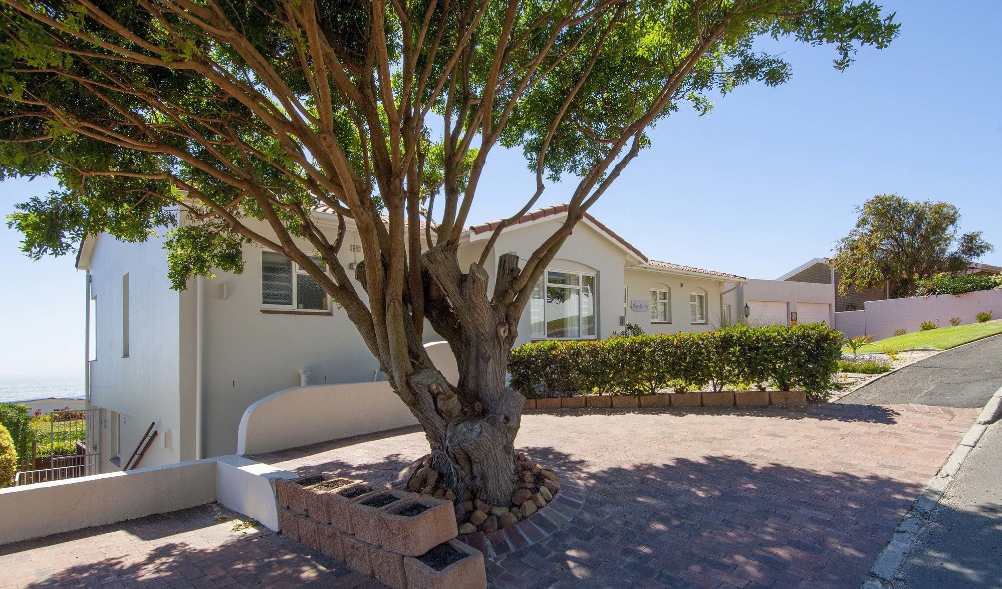Simonʼs Town Restio Garden Studio מראה חיצוני תמונה